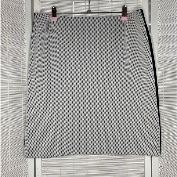 Akris Punto White and Navy Mesh Skirt Size 10 Side Stripes New with Tags - Picture 1 of 7